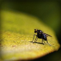 /album/waterheatersaustin6/photolia-a07-jpg/